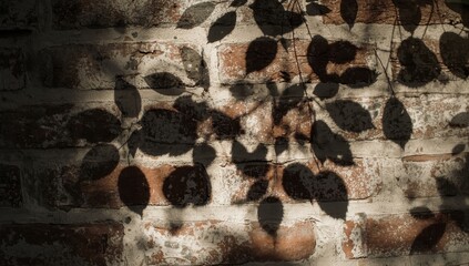 Leaves cast shadows on a weathered brick wall