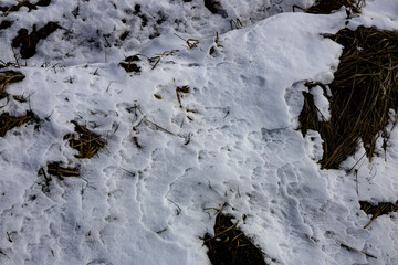 zima, śnieg, puch, biel, lód, mróz, kryształki, biało, ślady, © Estera