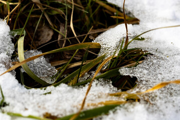 zima, śnieg, puch, biel, lód, mróz, kryształki, biało, ślady, © Estera