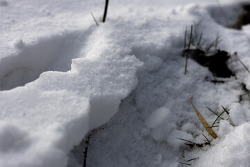 zima, śnieg, puch, biel, lód, mróz, kryształki, biało, ślady, © Estera