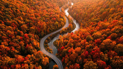 Aerial View of Winding Road Through Autumn Forest