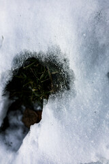 zima, śnieg, puch, biel, lód, mróz, kryształki, biało, ślady, © Estera