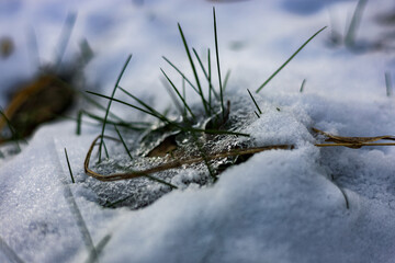 zima, śnieg, puch, biel, lód, mróz, kryształki, biało, ślady, © Estera