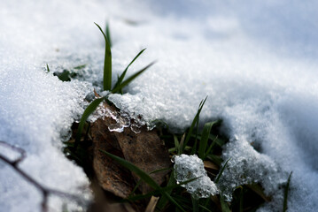 zima, śnieg, puch, biel, lód, mróz, kryształki, biało, ślady, © Estera