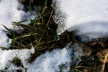 zima, śnieg, puch, biel, lód, mróz, kryształki, biało, ślady, © Estera