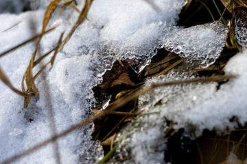 zima, śnieg, puch, biel, lód, mróz, kryształki, biało, ślady, © Estera