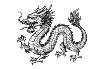 Black and White Chinese Dragon Drawing Isolated on Transparent Background