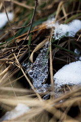 zima, śnieg, puch, biel, lód, mróz, kryształki, biało, ślady, © Estera