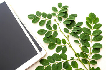 Moringa leaves with herbal tablet on fresh clean white set