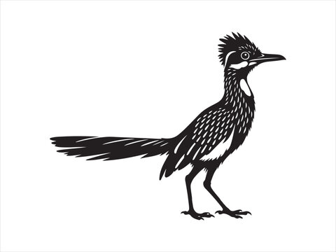 Roadrunner bird logo vector silhouette icon illustration. roadrunner bird isolated silhouette vector
