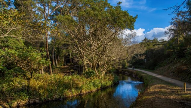 Leisure zone in Madeira's Parque Florestal das Queimadas and Levada do Caldeirao Verde