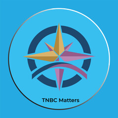 Minimalist Four-Point Star Logo Design with Arched Accents