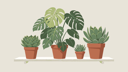 Fototapeta premium Collection of potted houseplants including a monstera deliciosa and succulents on a shelf