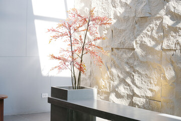 Arranging potted plants for interior decoration with sunlight streaming in.