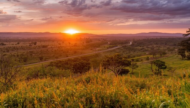 Kenya's scenic nature features greenery, trees, fauna, and a sunset road in Ongata Rongai, Kajiado County, by the Great Rift Valley and SGR railway bridge