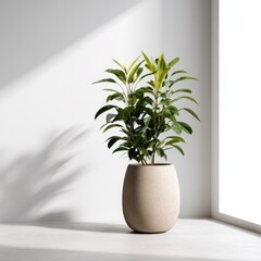 Potted leafy plant stands near a bright window, casting shadows
