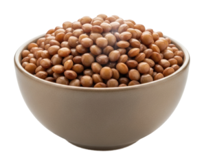 Harvesting brown seeds in a bowl culinary use kitchen isolated on transparent background