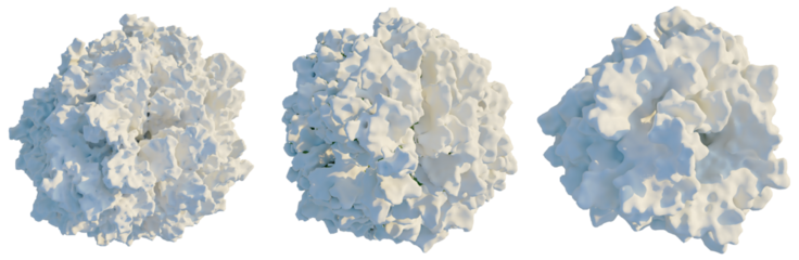 Chamaecyparis obtusa tree plan, top view, cutout, transparent background, isolate, Fluffy clouds collection for creative design, digital art, or branding projects