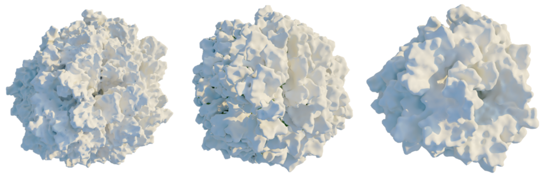 Chamaecyparis obtusa tree plan, top view, cutout, transparent background, isolate, Fluffy clouds collection for creative design, digital art, or branding projects - Powered by Adobe