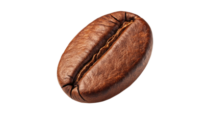 coffee bean isolated on white background