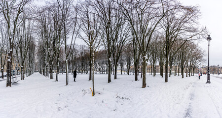 Paris, France - 01 07 2026: Snow flakes. Panoramic view of trees alignment and sidewalk at...