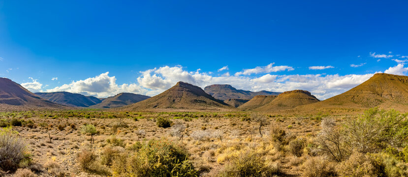 View of Arid desert landscape in the Karoo