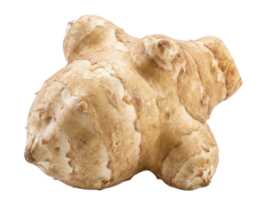 A ginger root with a unique, knobby shape and a rough, beige surface.