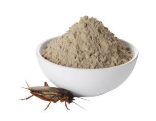 A bowl filled with fine powder sits beside a cricket, highlighting an unusual combination of food and protein sources.
