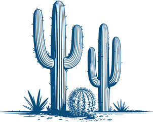 Blue engraved style saguaro cactus cluster with barrel plant design © Pappu0099
