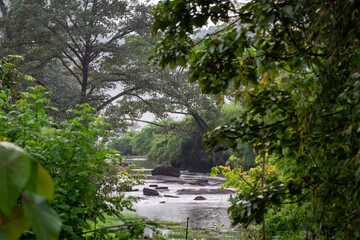 Chalakudy River flowing through lush forest near Athirappilly Falls, Thrissur district, with rocky stream and dense tropical greenery.