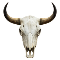 Weathered and aged bovine skull with impressively curved, dark horns and visible bone texture, presented frontally against a stark white background, showcasing a, isolated on transparent background.