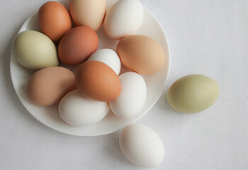 Chicken eggs of different colors on a plate