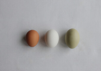 chicken eggs on a white background