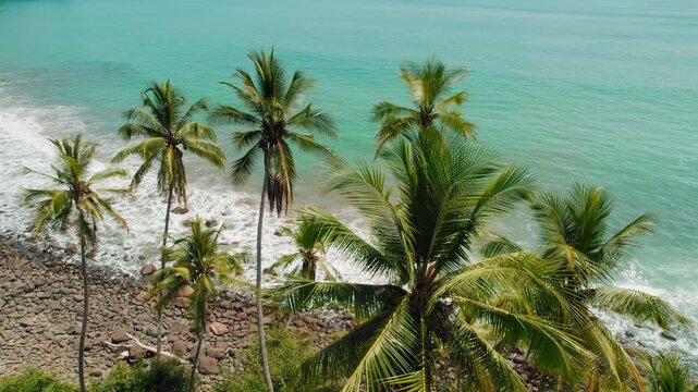 Palm trees overlooking rocky tropical coastline with turquoise ocean in sunny Costa Rica