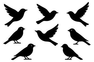 collection of birds,
Bird Silhouettes Collection, Vector Bird Shapes