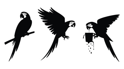 Silhouette of three parrots in different positions, perched, flying, descending, black vector illustration, high-quality, professional wildlife design.