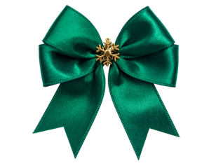 Emerald green satin bow with snowflake embellishment, isolated against a black background