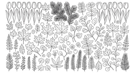 botanical field illustration with detailed plants and flowers pattern