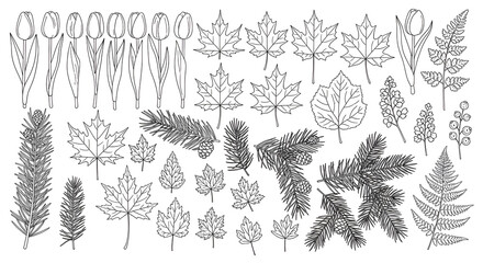 pattern of forest trees forming decorative natural background illustration