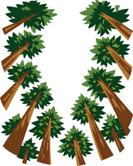 An abstract pine forest image viewed from a low angle