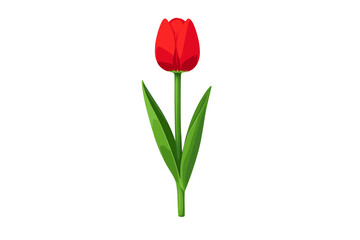 A realistic tulip displayed frontally against a pristine white background, illuminated by a spotlight for product showcase, created from