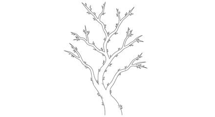 minimal bare tree branches representing natural growth illustration