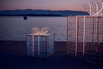 Light show and colorful flower garden decoration