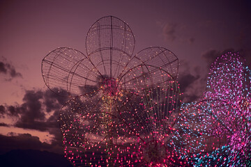 Light show and colorful flower garden decoration