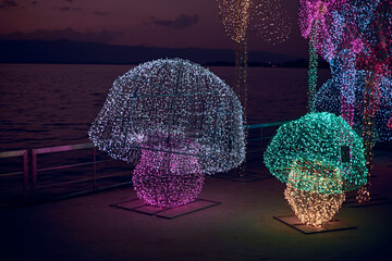 Light show and colorful flower garden decoration