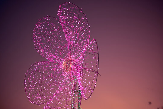 Light show and colorful flower garden decoration