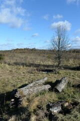 Autumn landscape in the Nesterovsky district of the Kaliningrad region