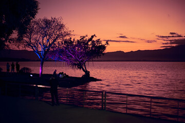 Light show and colorful flower garden decoration