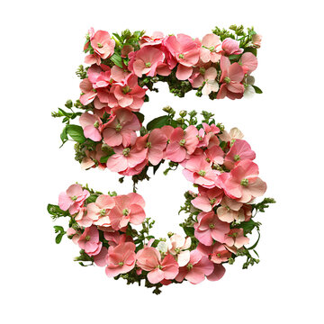 Top view of a 3D number 5 made of Snapdragon flowers isolated on a white transparent background