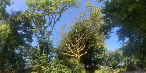 La campagne &agrave; Briec en Bretagne Finist&egrave;re